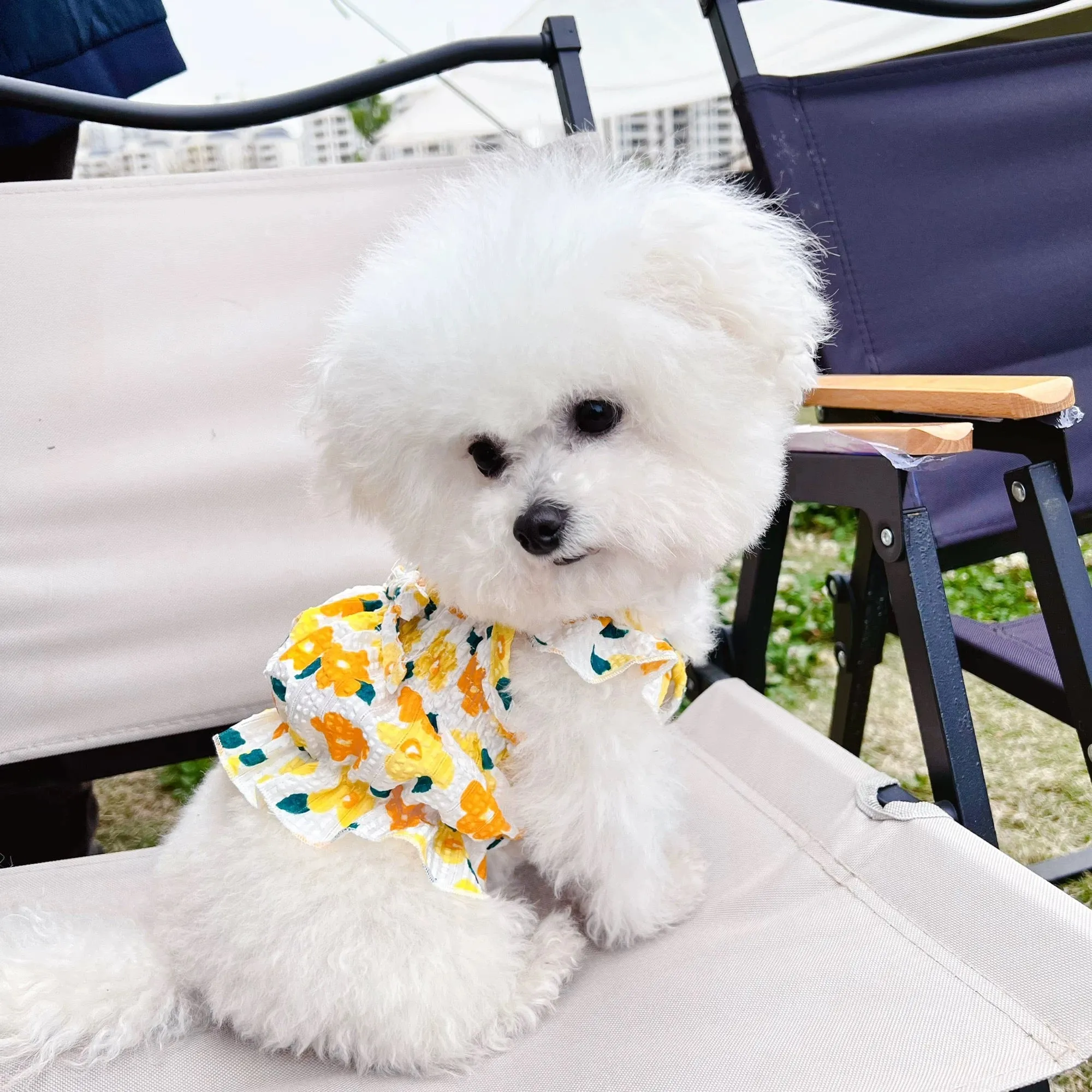 Breathable Sweet Floral Dog Cat Dress
